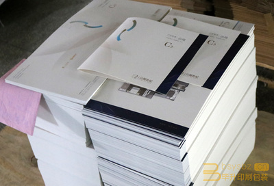 專業樓書印刷服務 仁恒公園世紀項目二折頁與樓書印刷方案解析